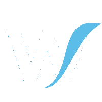 WiseStream Group